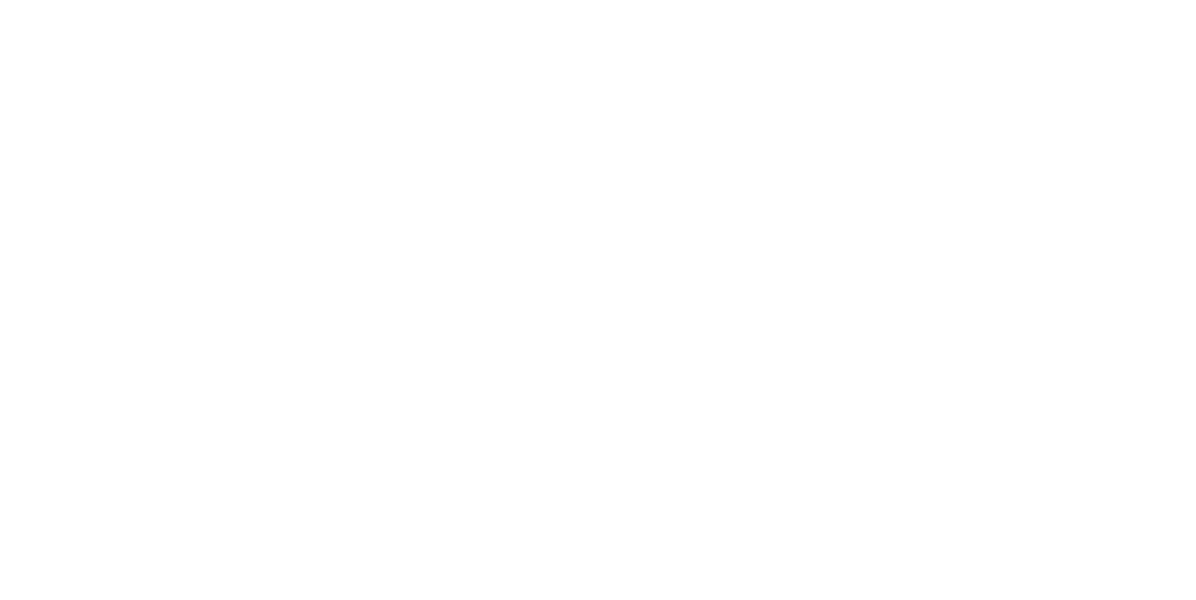 Vital_Strat_Logo_2024-02-15-111053_akne